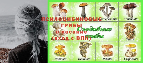 стафф Баксан