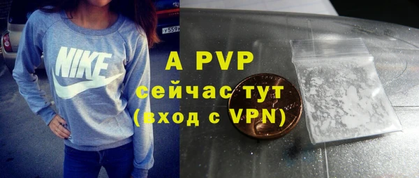 стафф Баксан