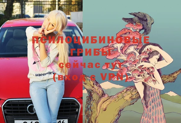 ГАЛЛЮЦИНОГЕННЫЕ ГРИБЫ Балахна