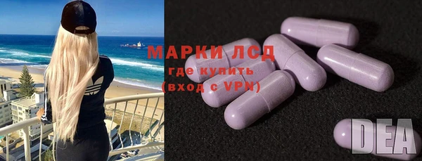 ГАЛЛЮЦИНОГЕННЫЕ ГРИБЫ Балахна