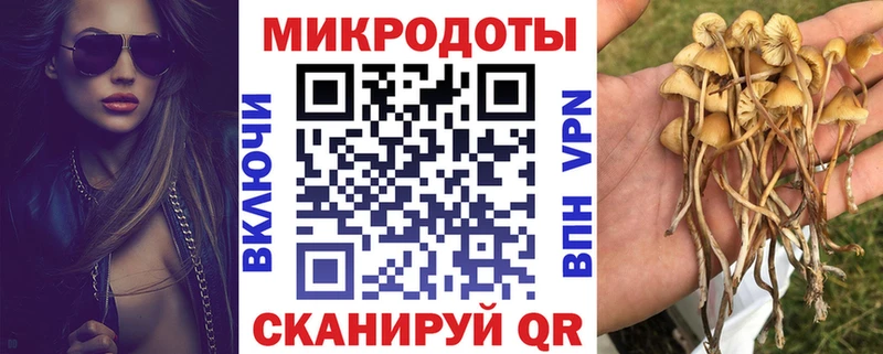 Галлюциногенные грибы GOLDEN TEACHER  кракен ONION  Гаврилов-Ям 